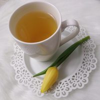 Czystek zamiast zielonej herbaty