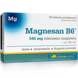 OLIMP MagneSan B6