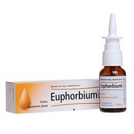 Heel Euphorbium S
