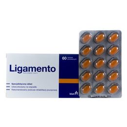 Ligamento