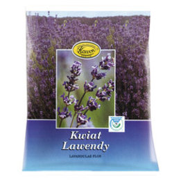 Kwiat lawendy