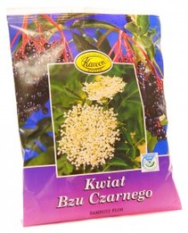 Kwiat Bzu Czarnego