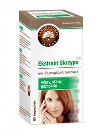 Ekstrakt Skrzypu