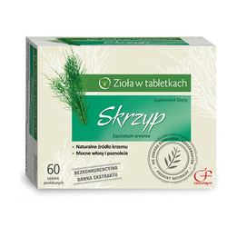 Skrzyp